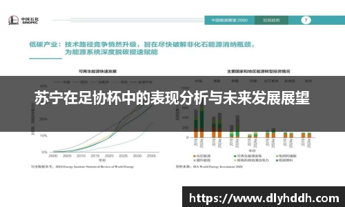 苏宁在足协杯中的表现分析与未来发展展望